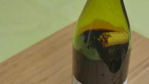 这个开瓶器太有创意了,红酒开瓶器醒酒专用神器最新款