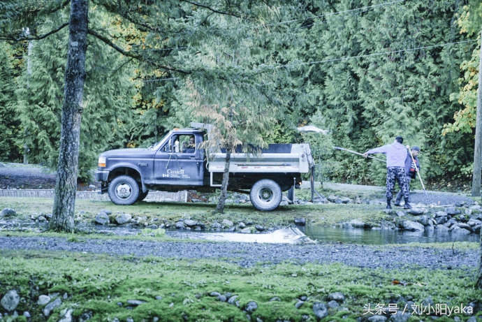 维多利亚水廊旅游,加拿大旅行景点