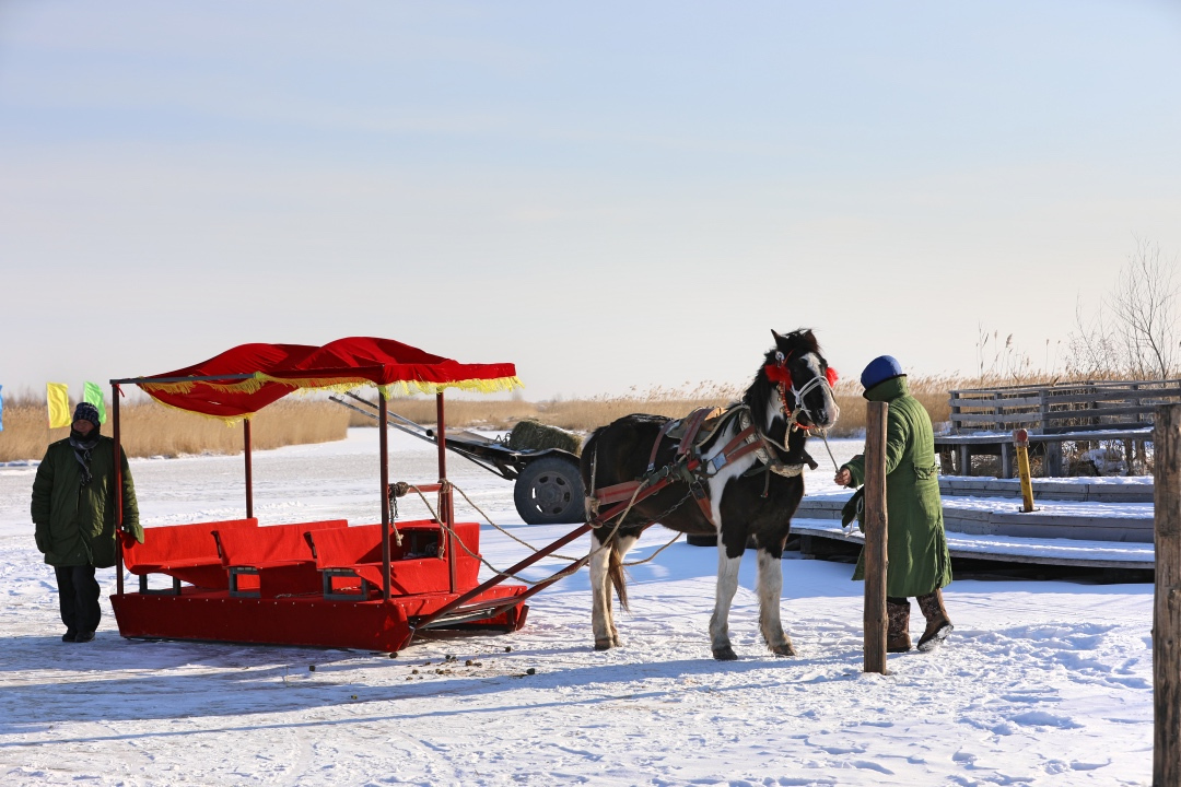 齐齐哈尔附近一日游,齐齐哈尔景点一日游路线