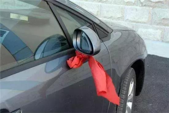 当街杀狗滴血祭新车，网友气炸！