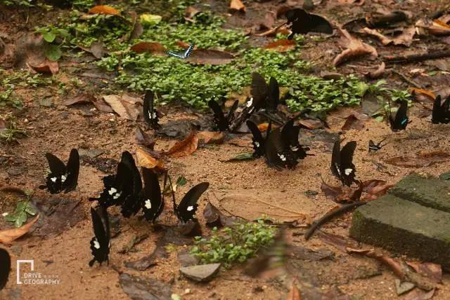 元旦最适合旅行的地方,元旦带家人去哪里玩好