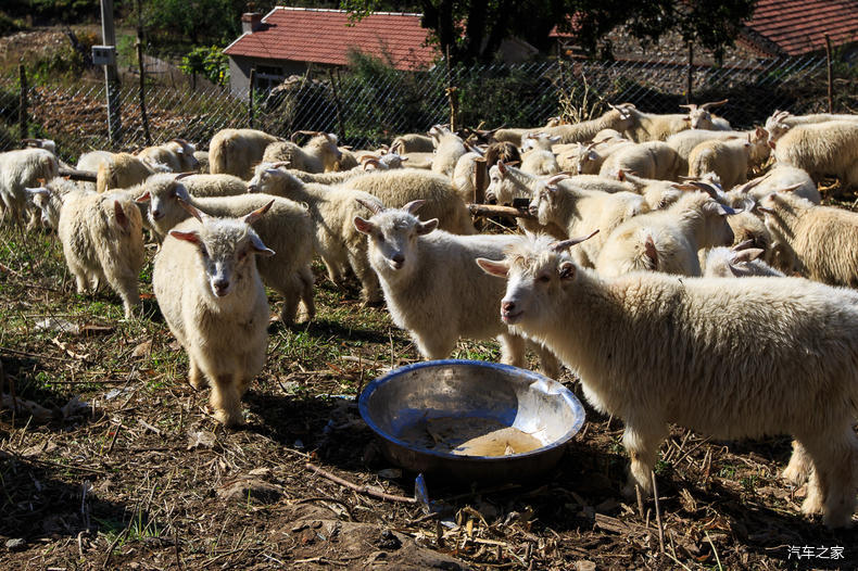 家乡之美美篇,家乡之美原唱完整版