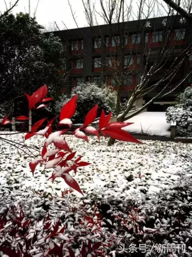 全球最美的十大雪景,全国十大最好看的雪景