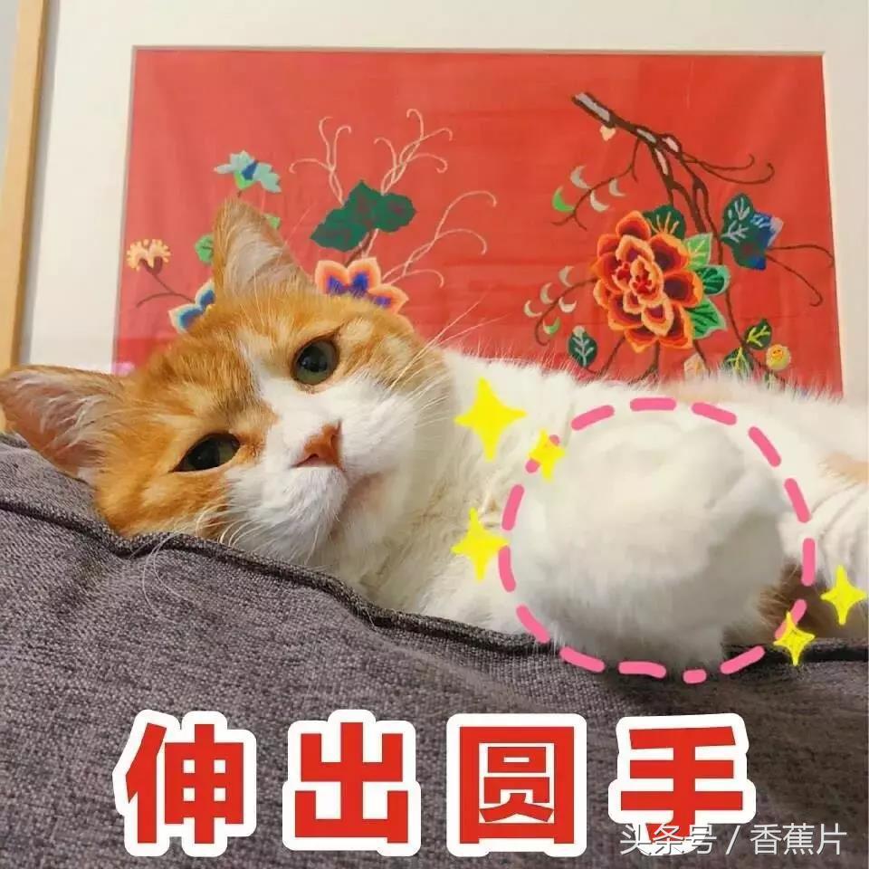 muji无印良品398活动广州店,muji无印良品学习用品