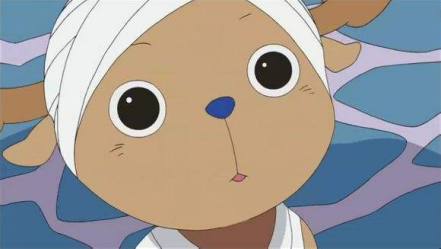 海贼王乔巴的原型是什么鹿,海贼王里面的乔巴是谁起的名