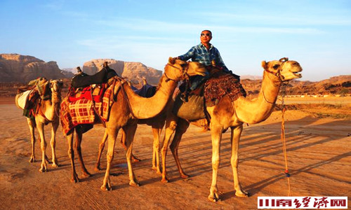 陈大刚作品欣赏,陈大刚图片