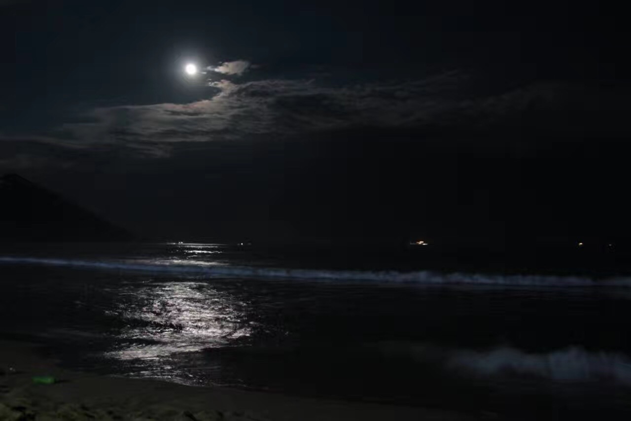 元旦跨年的好去处，拥抱大自然，祝福新年