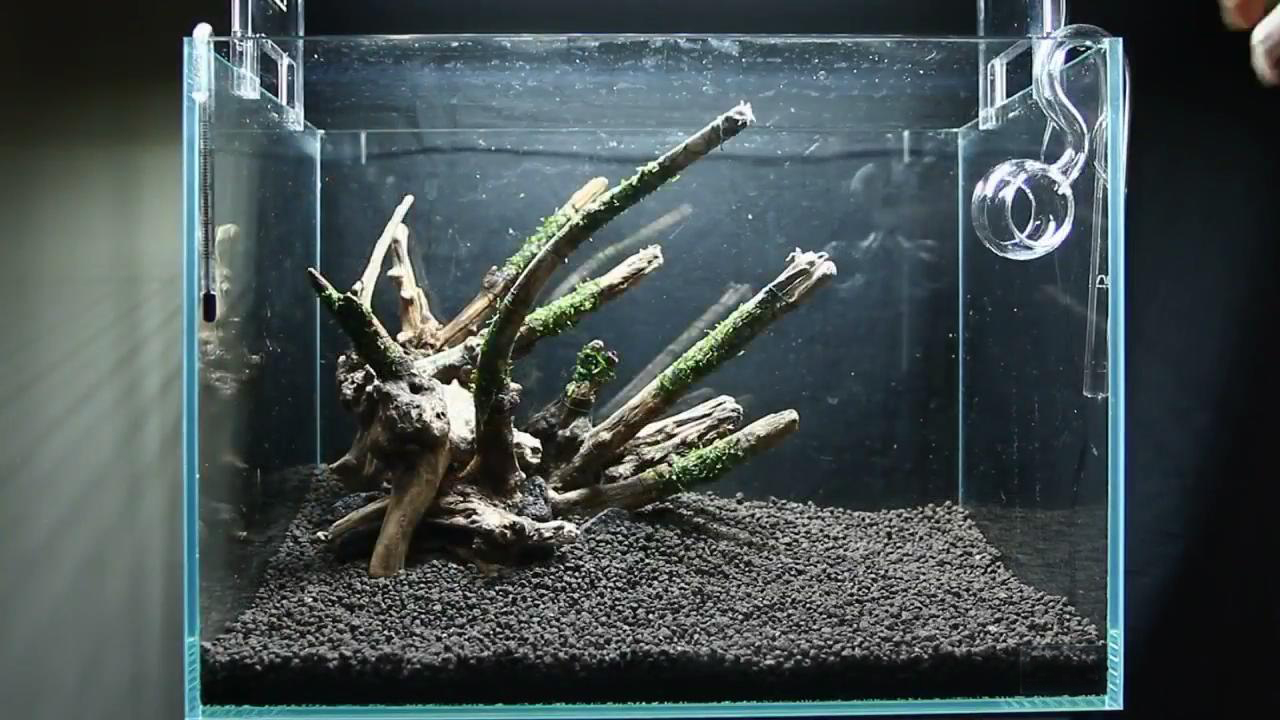 最简单的成品草缸,草缸的制作过程