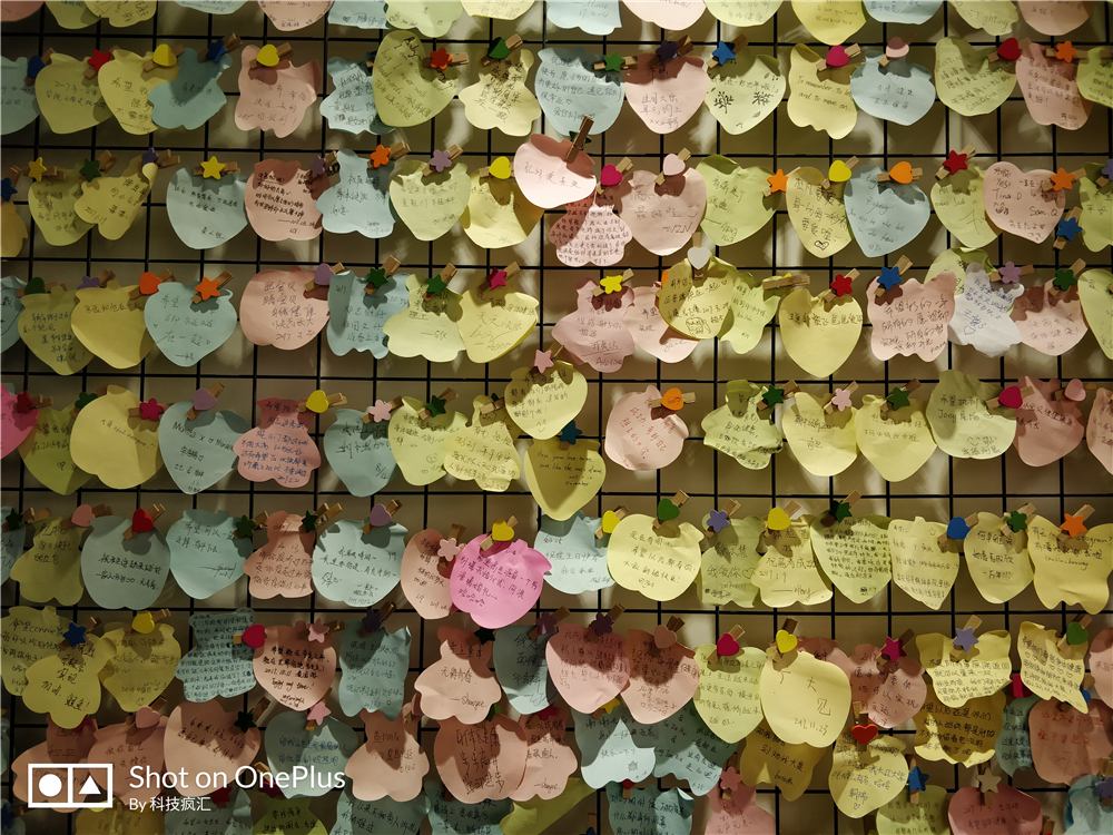 一加5t全面屏新旗舰,一加的前世今生