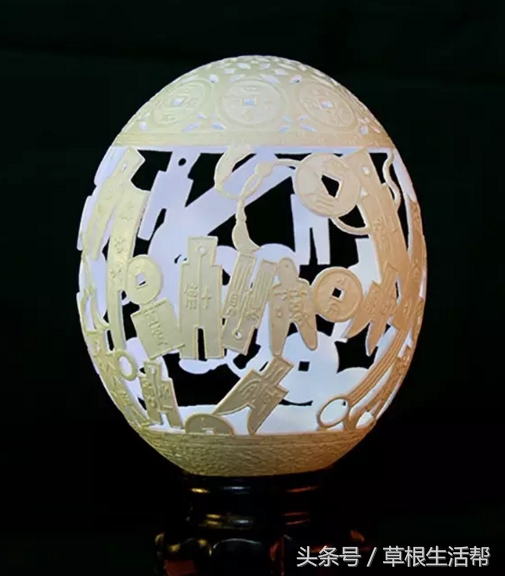 养殖“大笨鸟”，敲开致富门，80后回老家创业成为新一代农场主