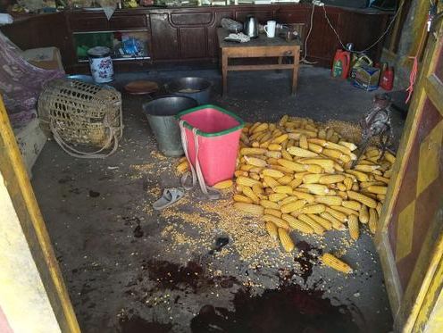 警方通报儿童中毒身亡 (幼儿园中毒死亡事件)