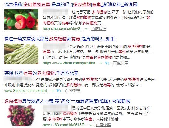 多肉植物有毒品种图片大全及名称,家庭养的多肉致癌吗