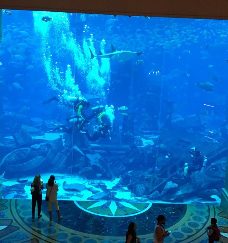 迪拜买表劳力士绿水鬼,迪拜买手表劳力士