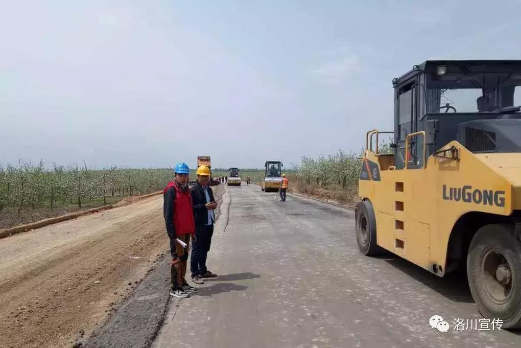 数说中国1921到1949,数说中国年12生肖