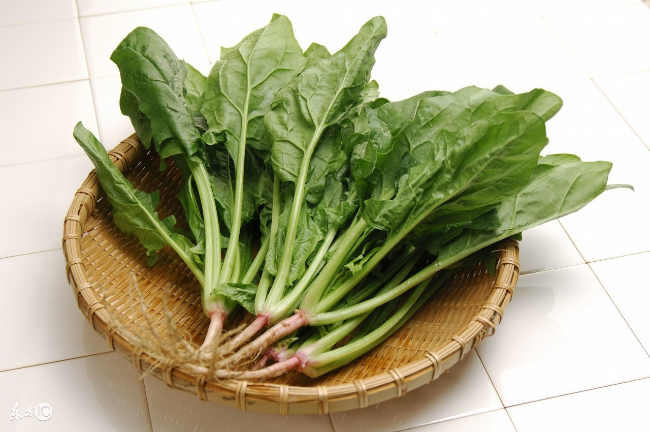 九个月宝宝的食谱,九个月宝宝营养食谱窍门