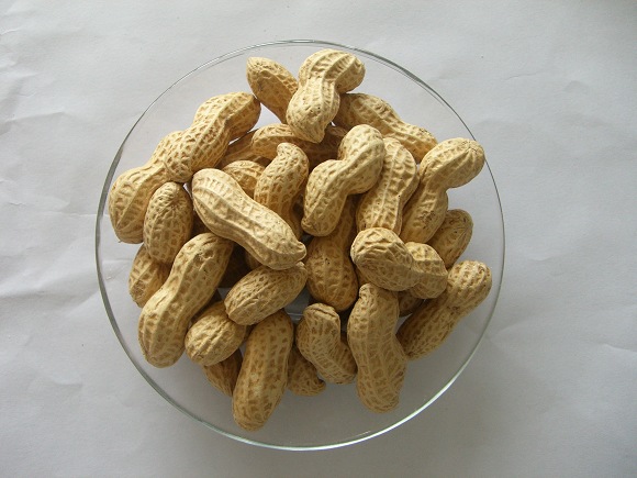 来威海应该说什么,来威海哪里购物