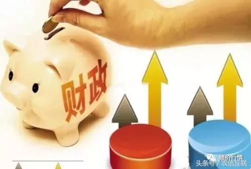 今日猪市深度解析,2023年下半年猪市行情分析