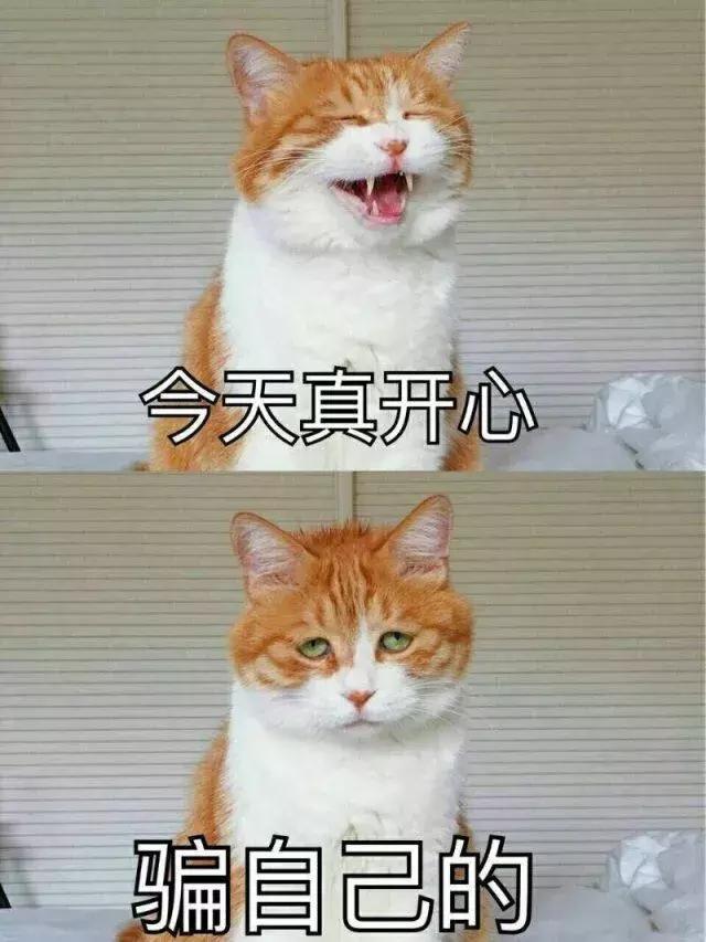 你才是代购，你全家都是代购！