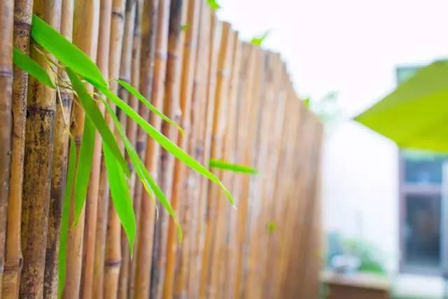 这栋小桥流水的民宿——“眷舍”