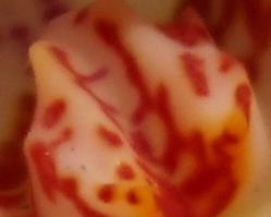 索尼a6000拍摄作品,索尼a6000手机遥控