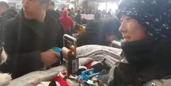 直播挣钱给小狗买狗粮,直播帮买宠物