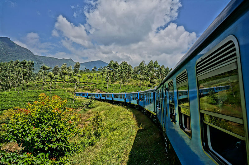 新的一年,蔡甸这些东西统统免费!不知道你就亏大了!
