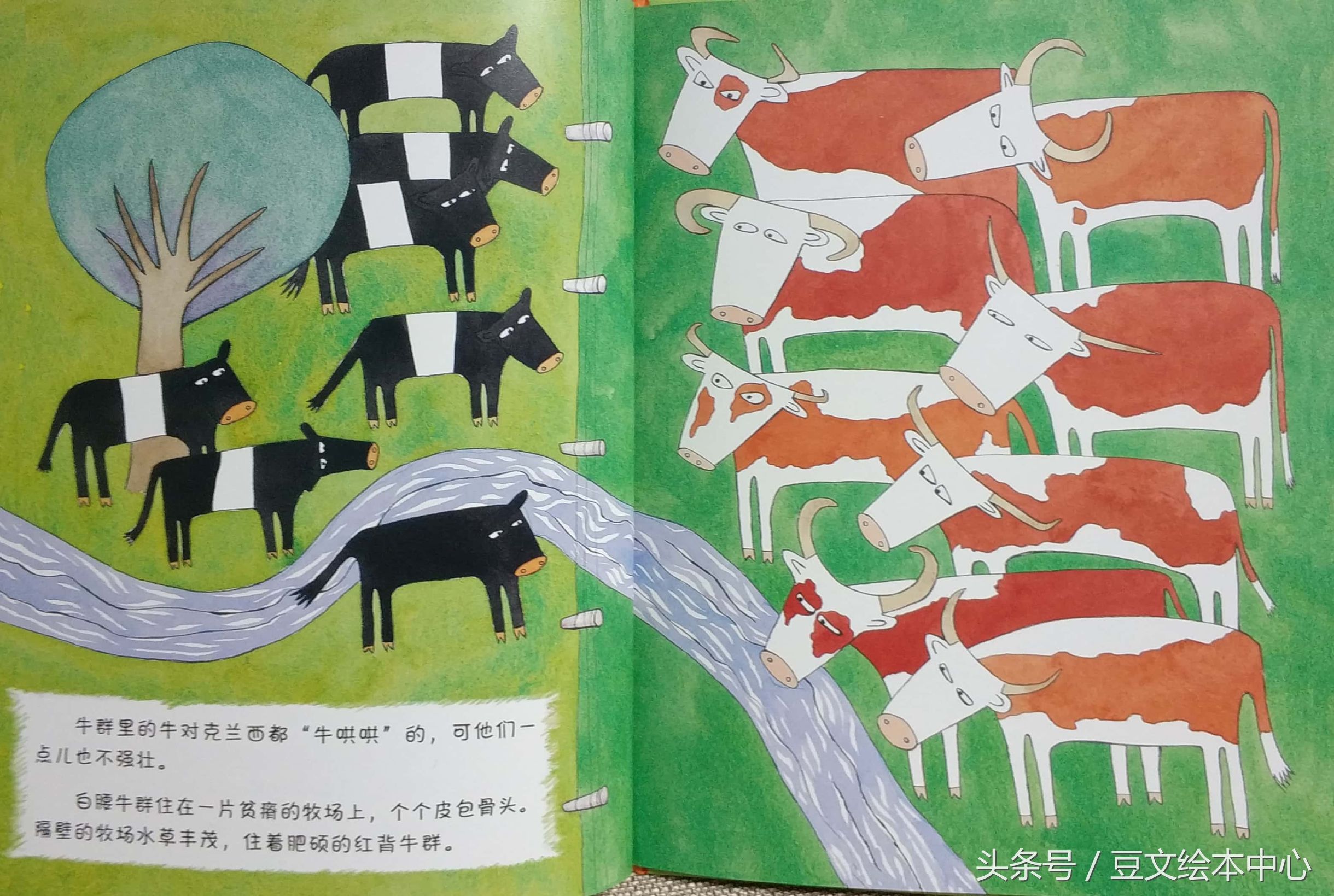 勇敢的克兰西导图,勇敢的克兰西讲的是什么