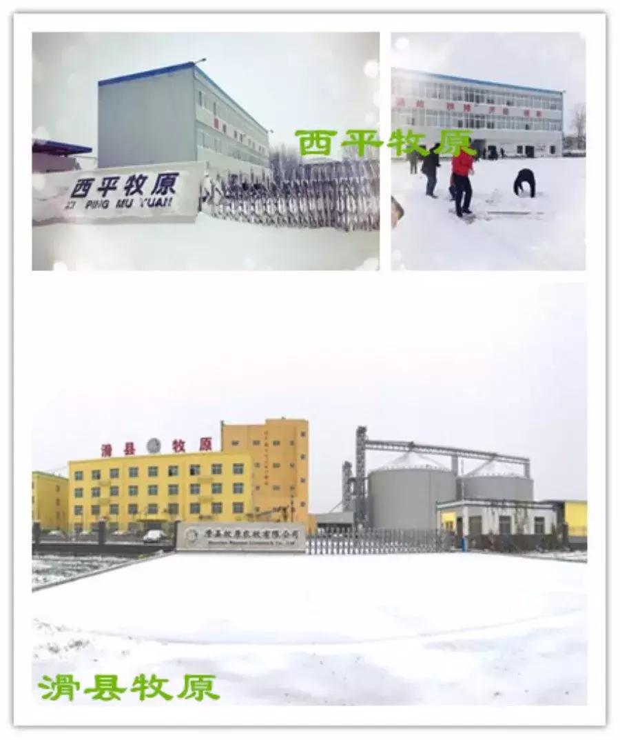 雪中美景雪景,雪中银装素裹美如画