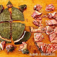 红烧甲鱼家常做法简单又好吃视频,甲鱼可以和什么菜一起红烧最好吃