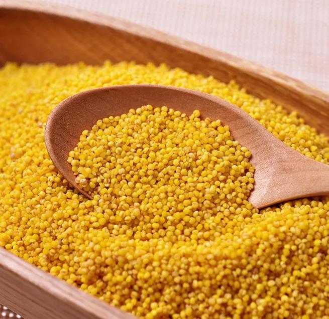 煮了很久的小米粥会怎么样,煮出来比较糯的小米