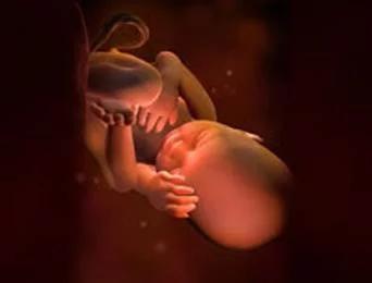 怀孕34周多胎动比较频繁正常吗,怀孕34周胎动比较多正常吗