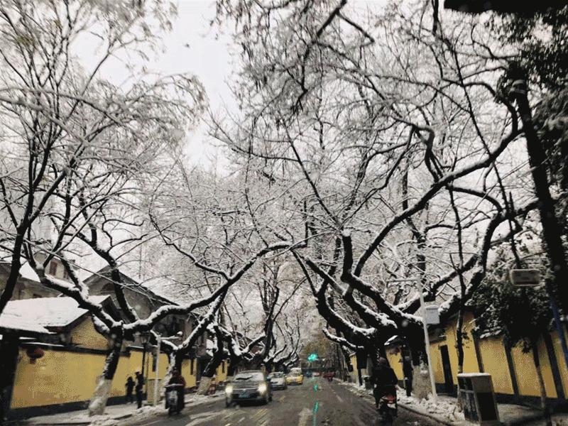 大雪袭城，却畅通无阻！只因为有可敬的他们