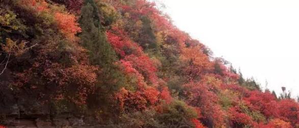 山西阳城名列三城,美丽山西好风光