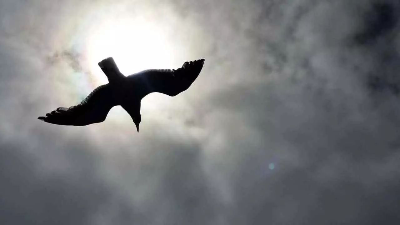 少侠，我这里有本创业干货秘籍，见你有缘就免费赠你了