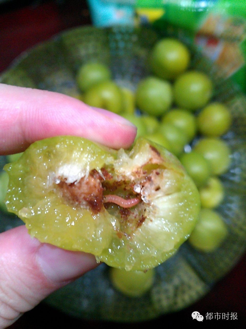 吃山竹吃到满胳膊蚂蚁不点开会后悔！点开可能会吐