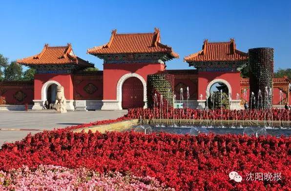 沈阳最漂亮的十大美人,沈阳女孩最漂亮的照片