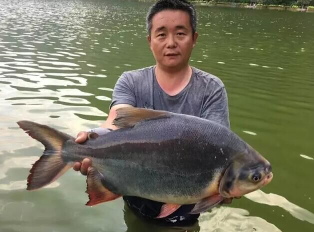 钓鱼探钓达人,钓鱼达人视频海钓