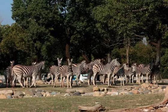 上海2020年学生放假通知,再上六天班就要集体放假