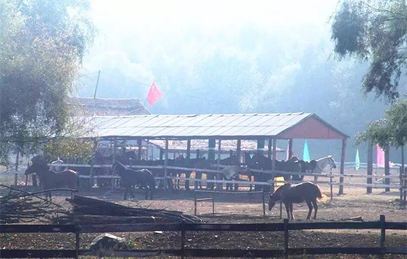 沈阳草原骑马去哪个地方好,离沈阳最近的草原骑马自驾游