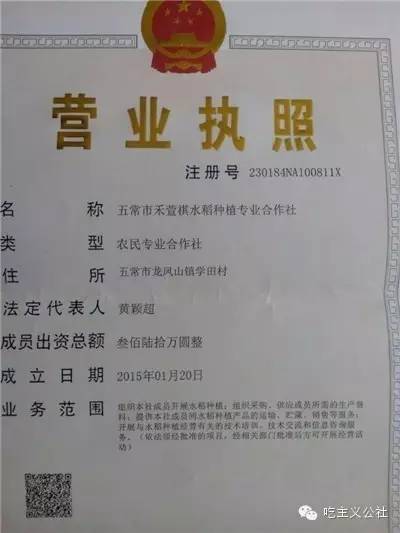 五常大米好坏怎样知道,五常大米哪个好吃评测