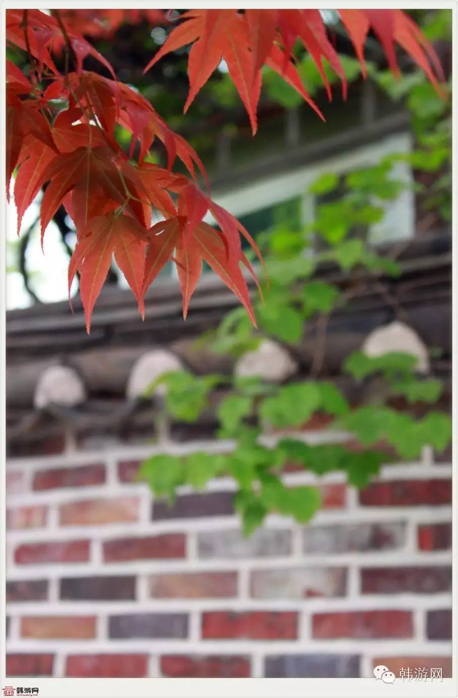 从首尔出发,一个人的韩国首尔旅行