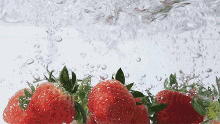 成都采草莓哪个地方最好,成都周边草莓采摘园基地