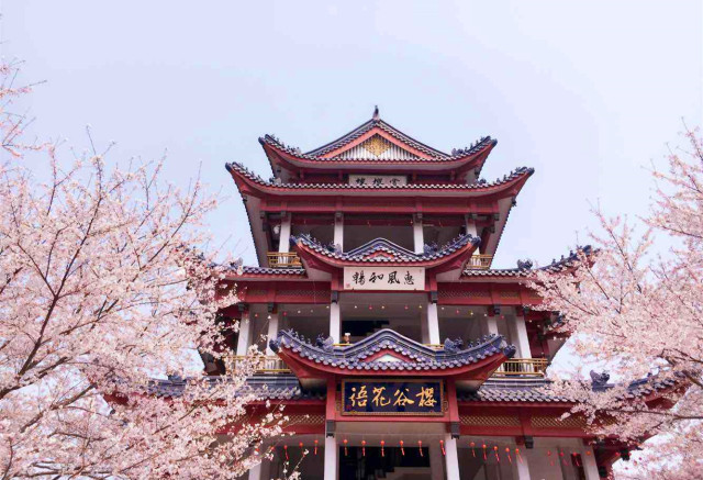 2018上半年，据说会玩的人都在合适的时间去这些美腻的地方了！