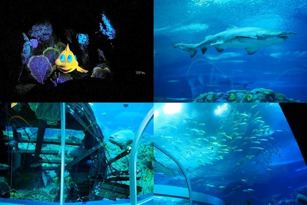 珠海长隆海洋王国穷游攻略,珠海长隆海洋王国看烟花攻略