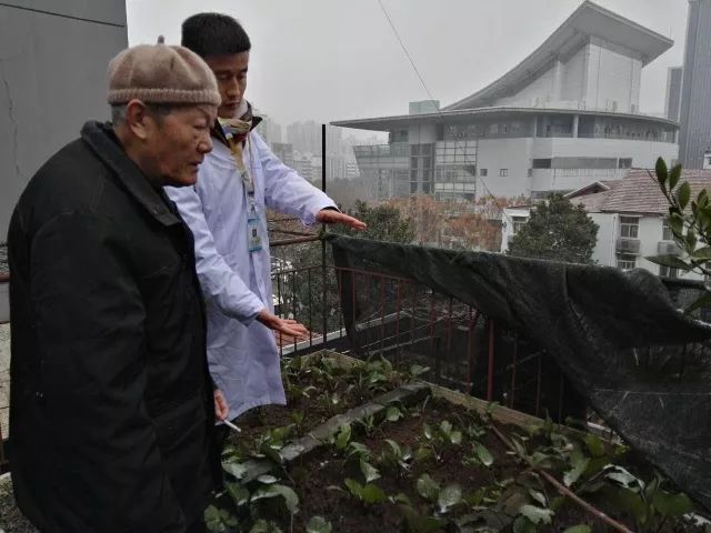 冻坏的花草还能救回来,冻伤的花草是否生长缓慢