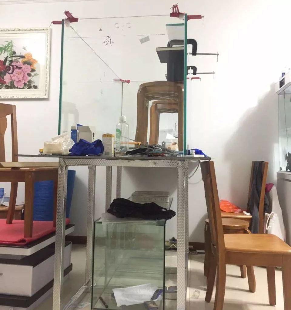 历时4个月，亲手做的缸终于运行！