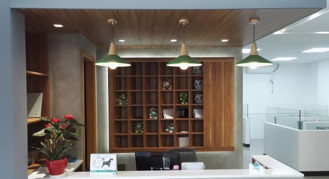 妙手仁心救我狗命锦旗,妙手仁心宠物医院