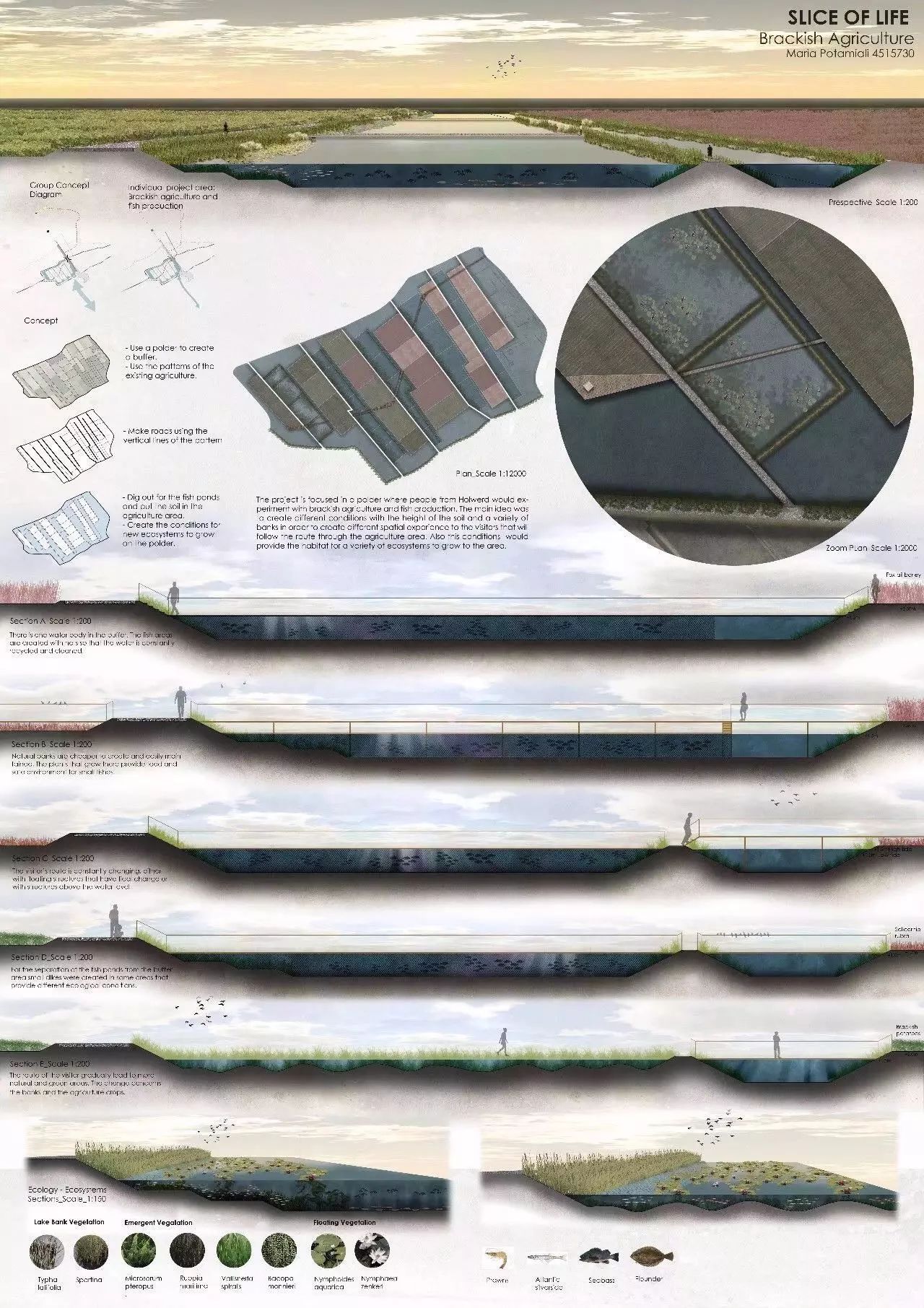 景观设计可以做的课题,景观设计可以做什么