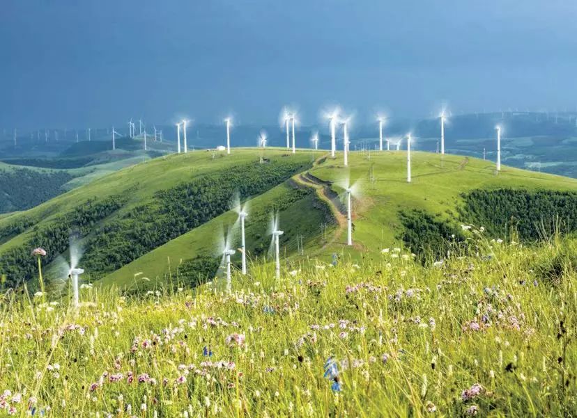 什么事情这么重要？内蒙古日报居然一下发了8个版！