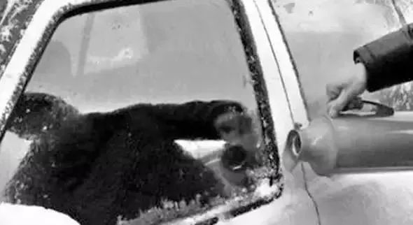 雪天车玻璃冻住如何解冻,雪天车挡风玻璃结冰怎么办视频